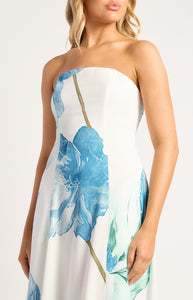 Wildflower Strapless Floral Print Maxi Panel Dress