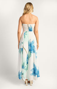 Wildflower Strapless Floral Print Maxi Panel Dress